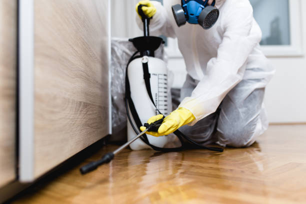 Best Pest Control for Businesses  in Severance, CO