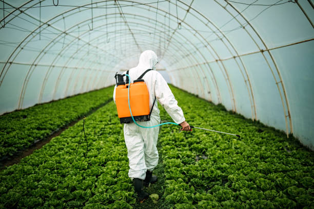 Best Mosquito Control Services  in Severance, CO