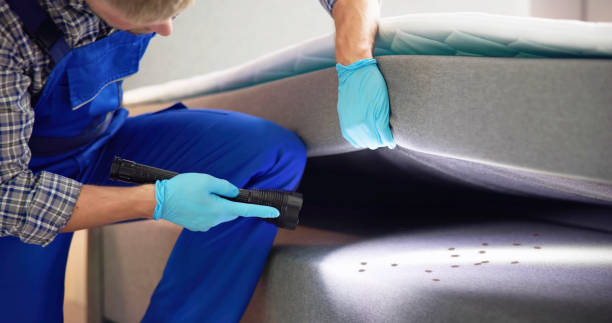 Best Affordable Pest Control Services  in Severance, CO