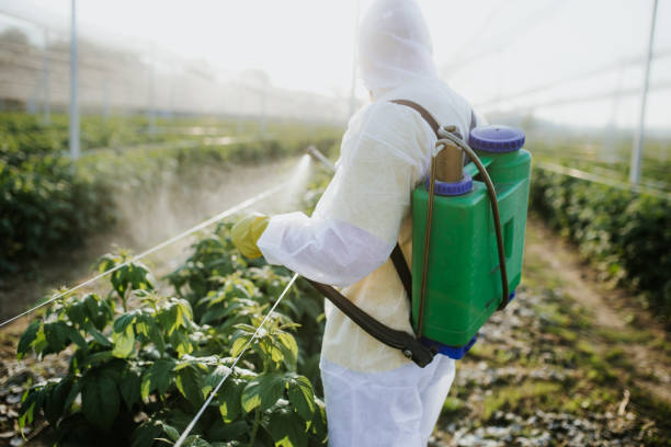 Best Insect Control  in Severance, CO